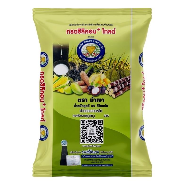 Front of men's Basic Tee in black.